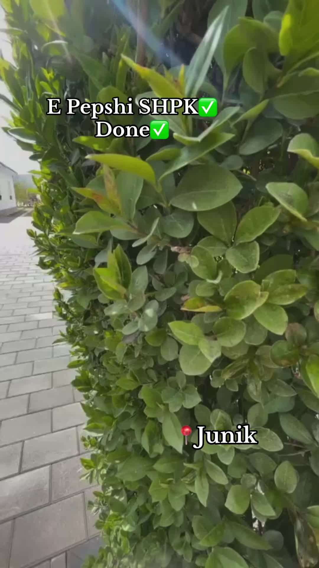 @epepshishpk