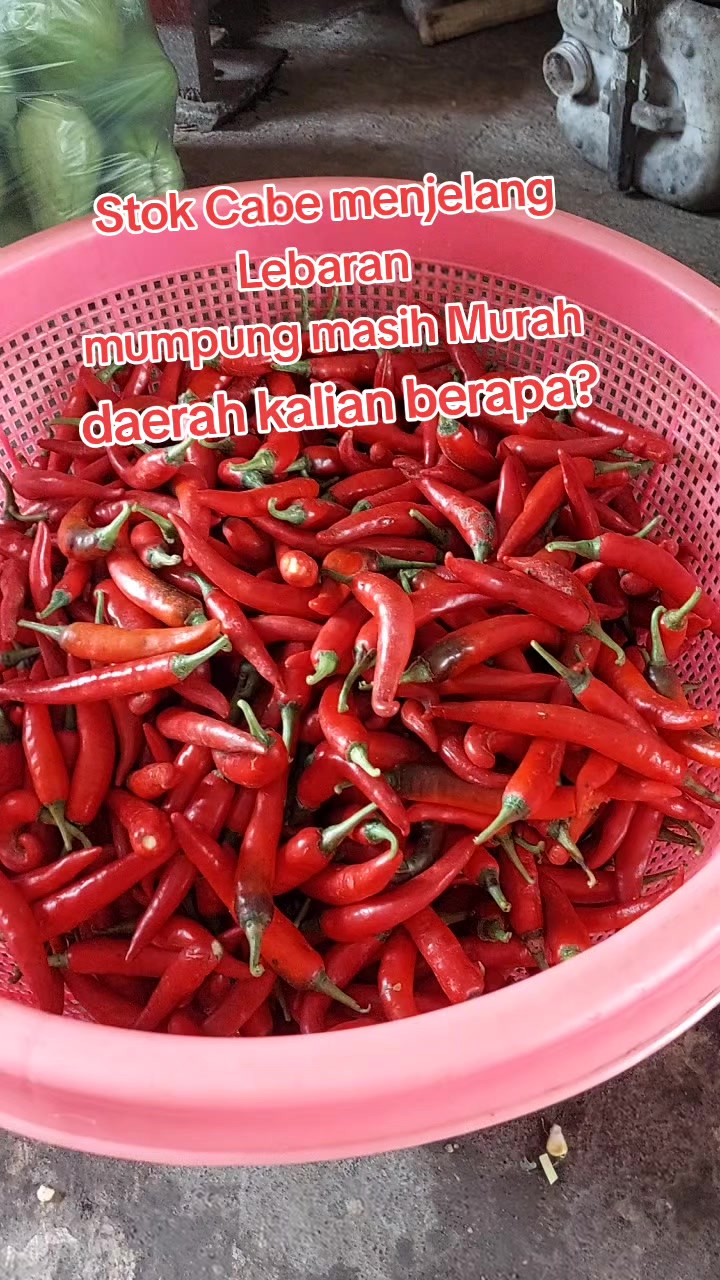 @Willi Ceria