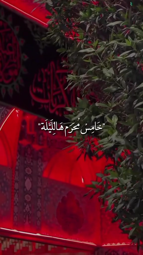 @أحمد أبو علي