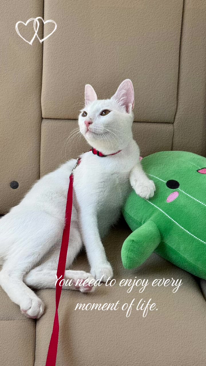 @_julia_1999_