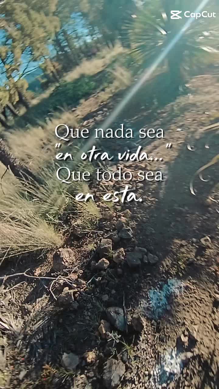 @MSCK