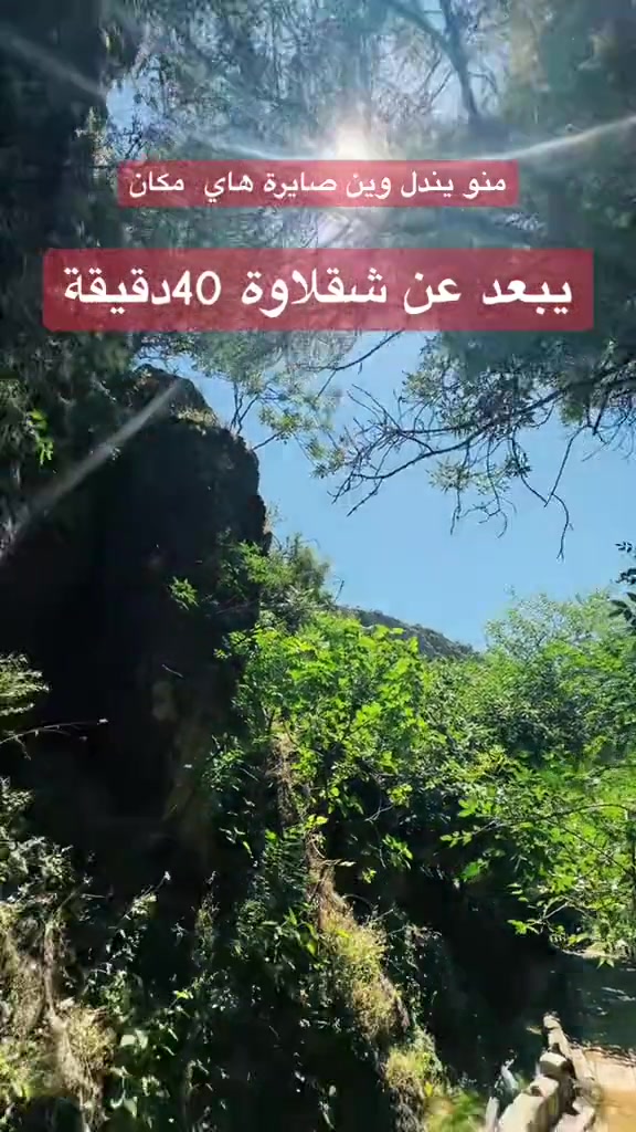 @شاليهات شقلاوة