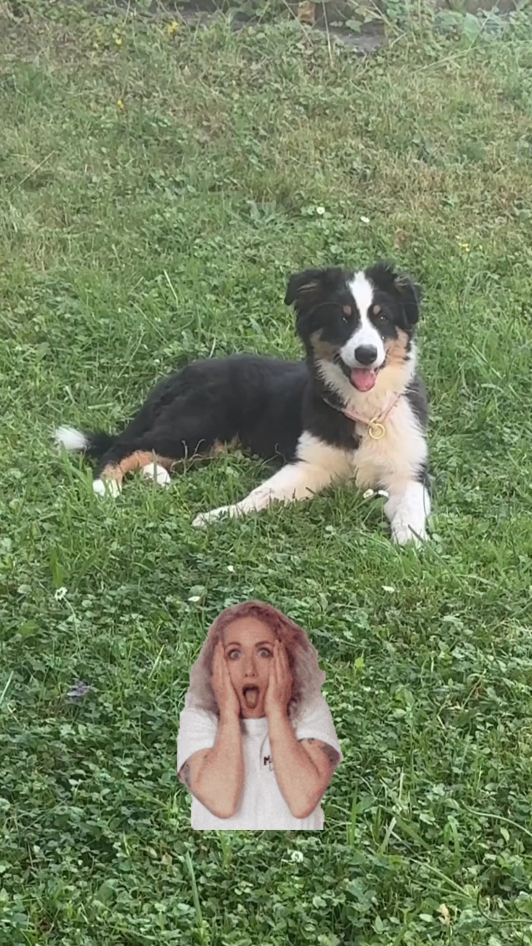 @🐕Di Ana🐕