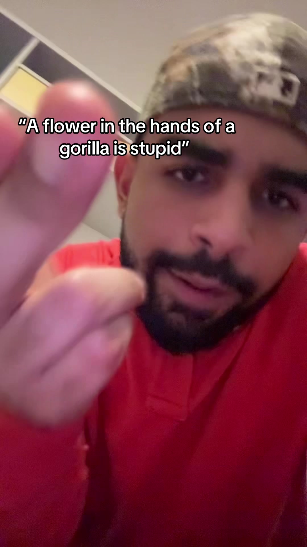 @Mulatto