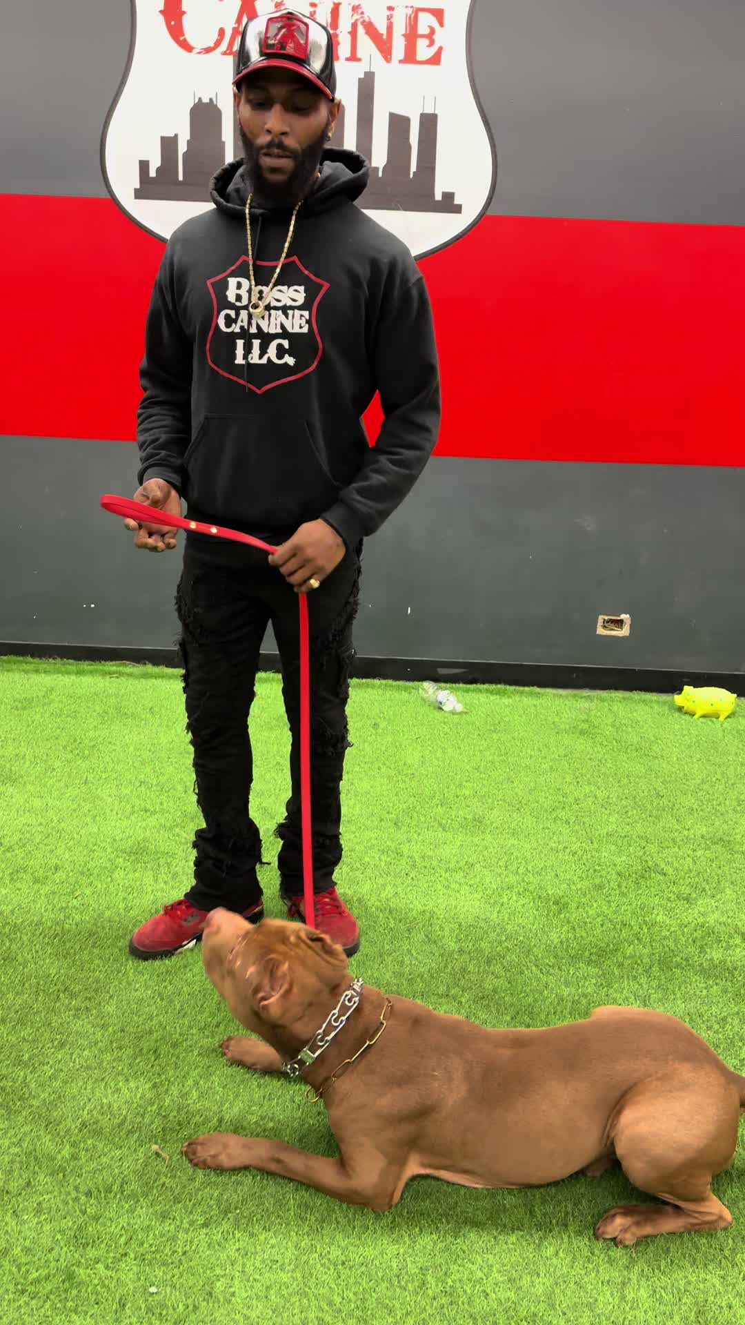 @Boss Canine
