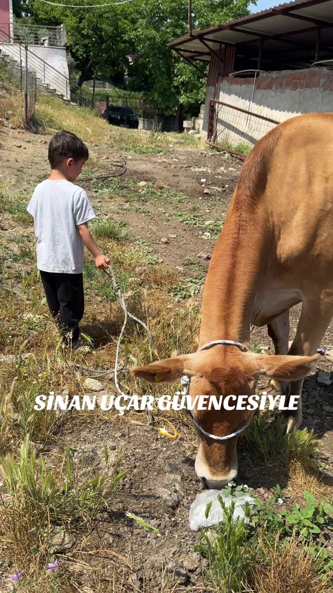 @CELEP SİNAN UÇAR