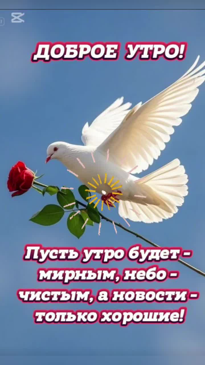 @Роза