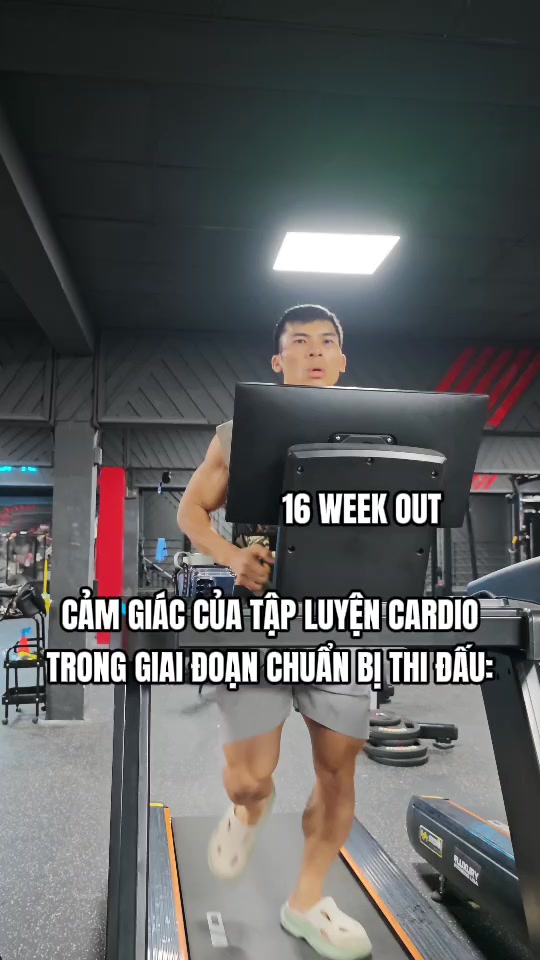 @BIN Ú FITNESS