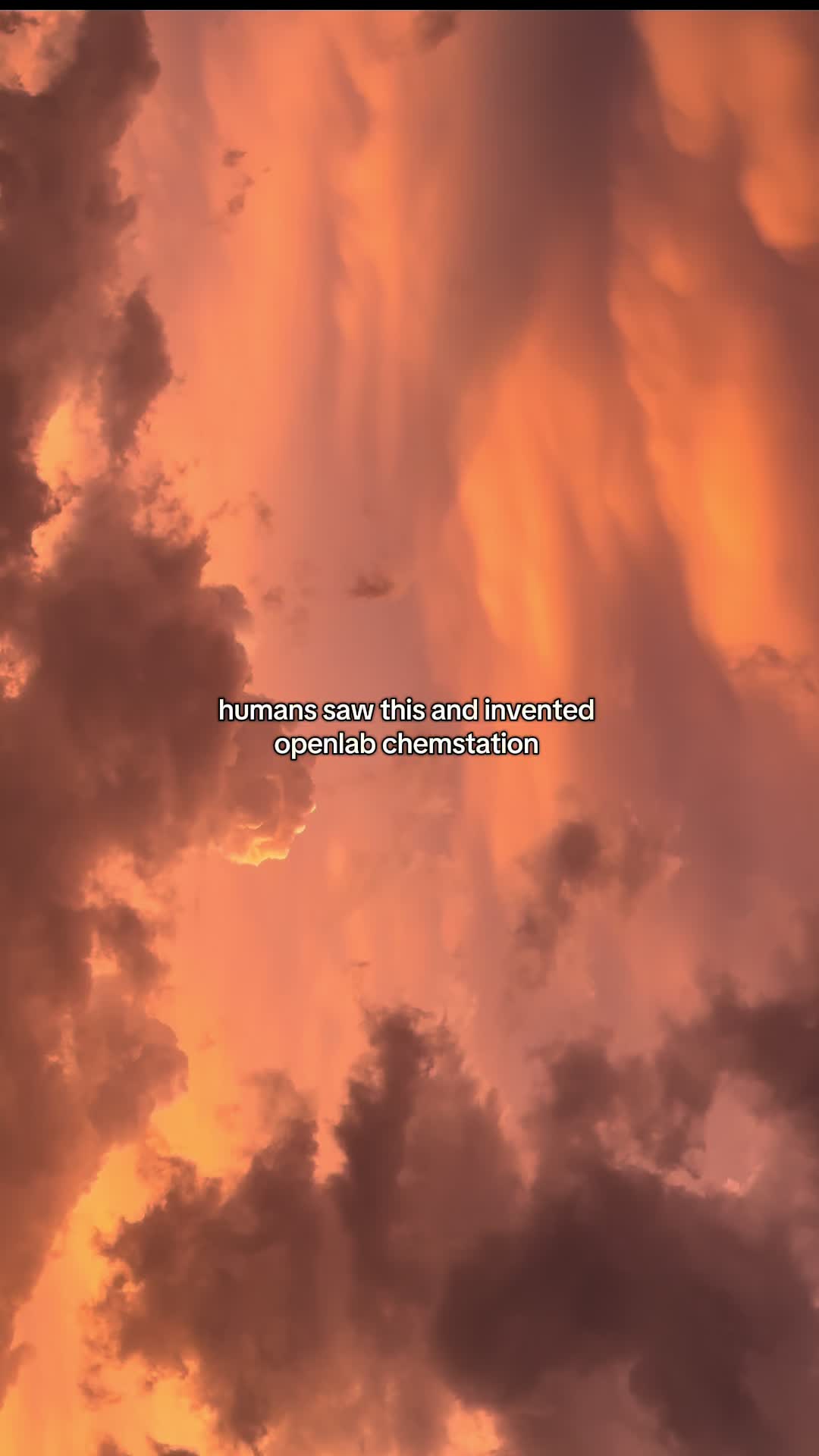 @Phoenix🕊️
