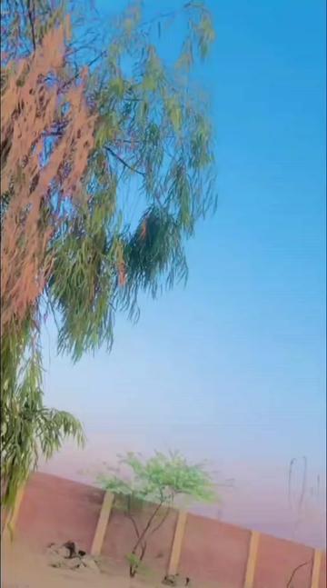 @bilawal7.0