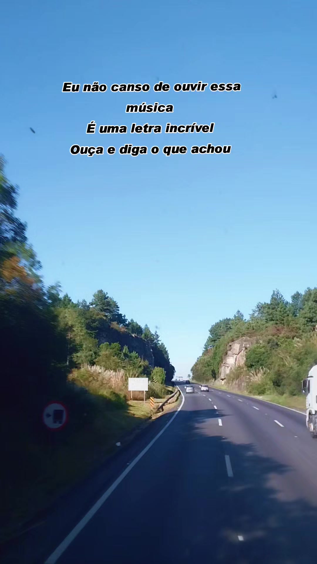 @LobaNegra✔️