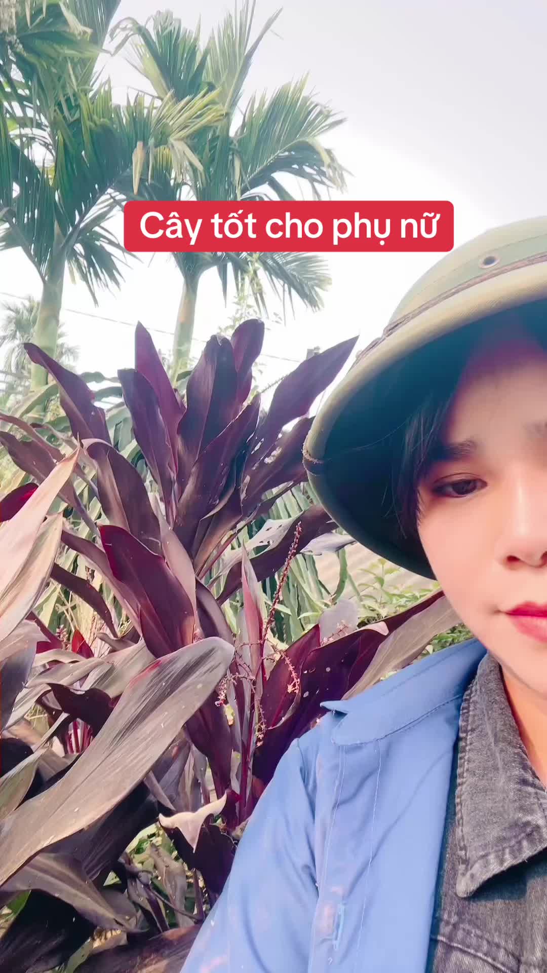 @Ngọc Chinh Miền N&uacute;i