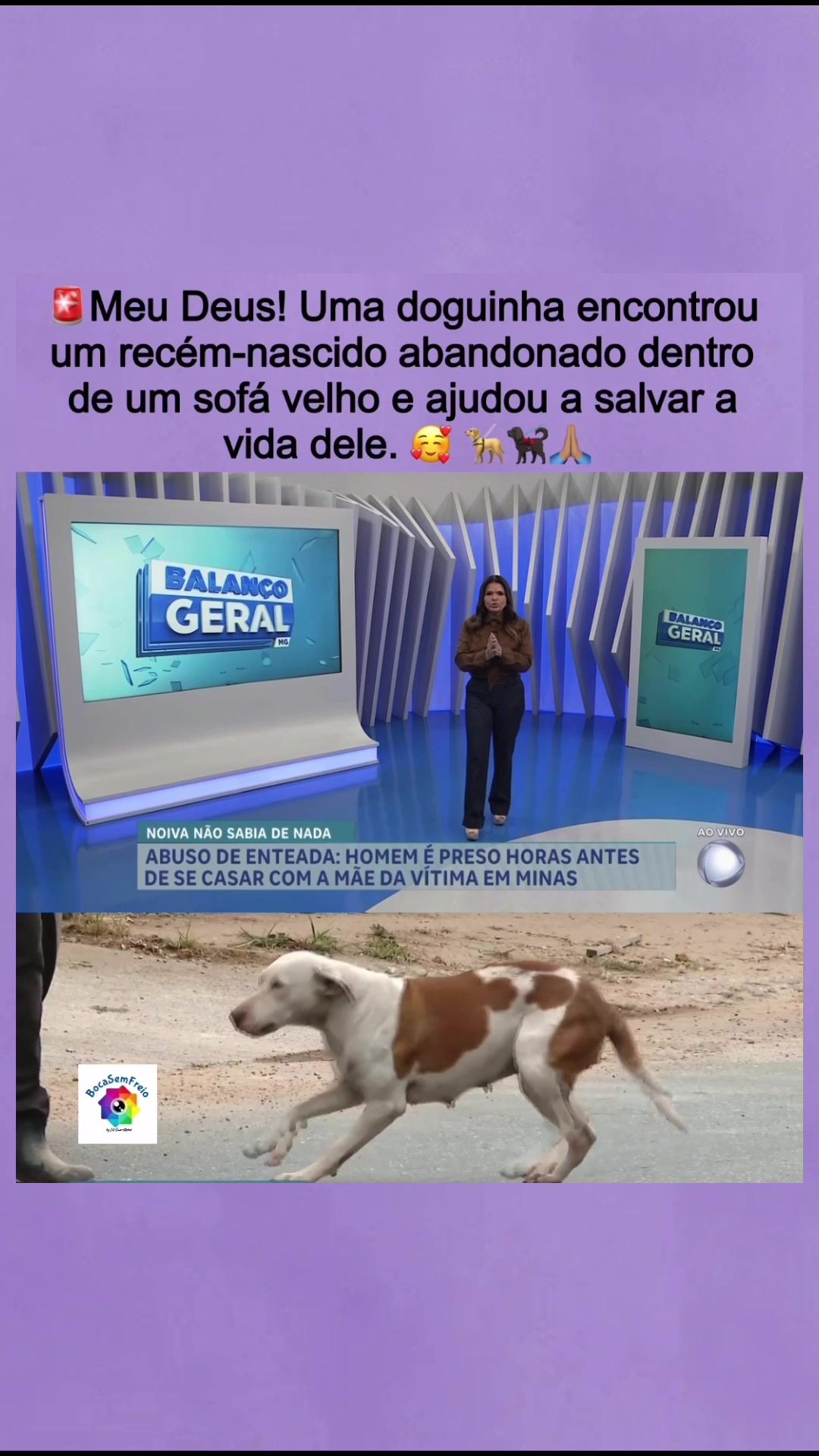 @@bocasemfreio