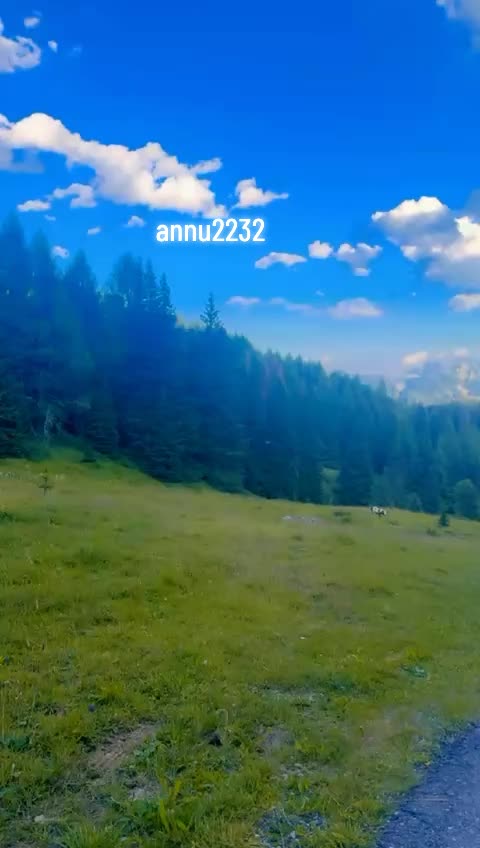 @annu_2232