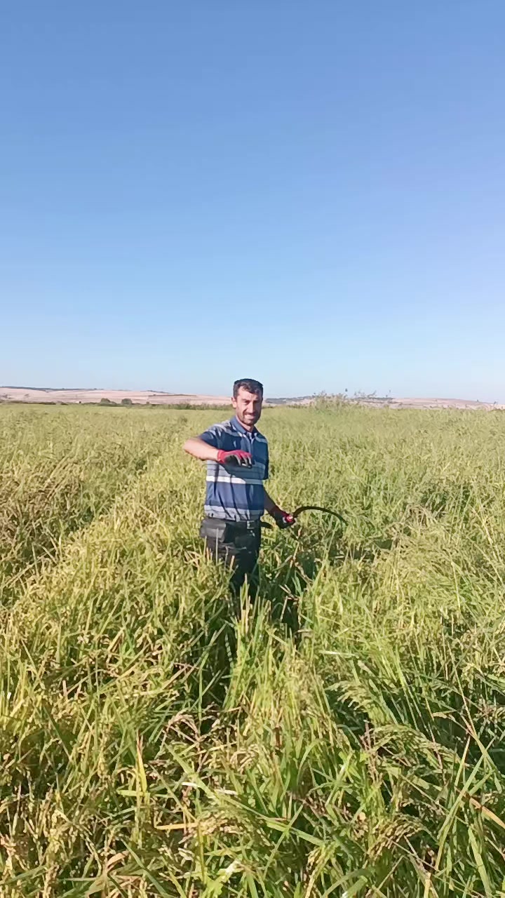@Diriliş Ertuğrul
