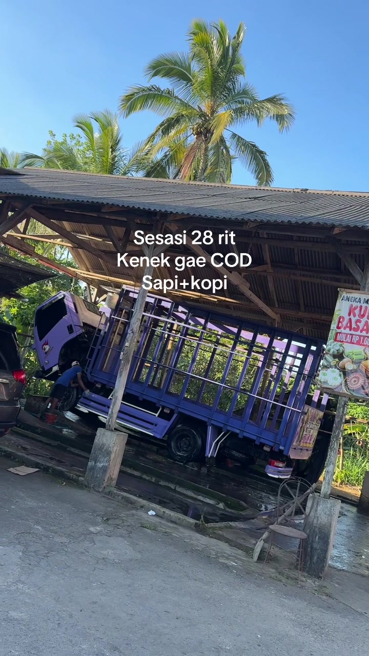 @๐ธ๐๐๐๐๐๐หหหโกหหห