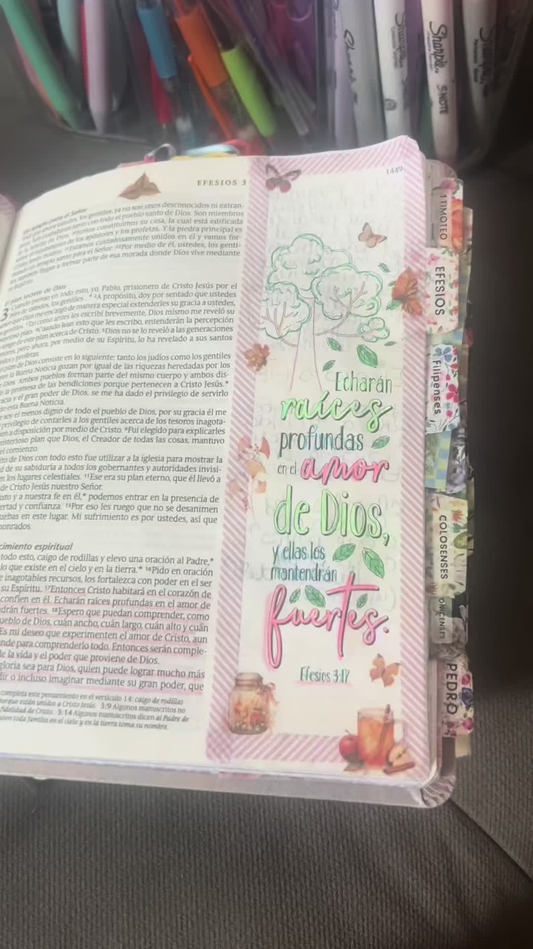 @IrisMilagros 🌼🌸
