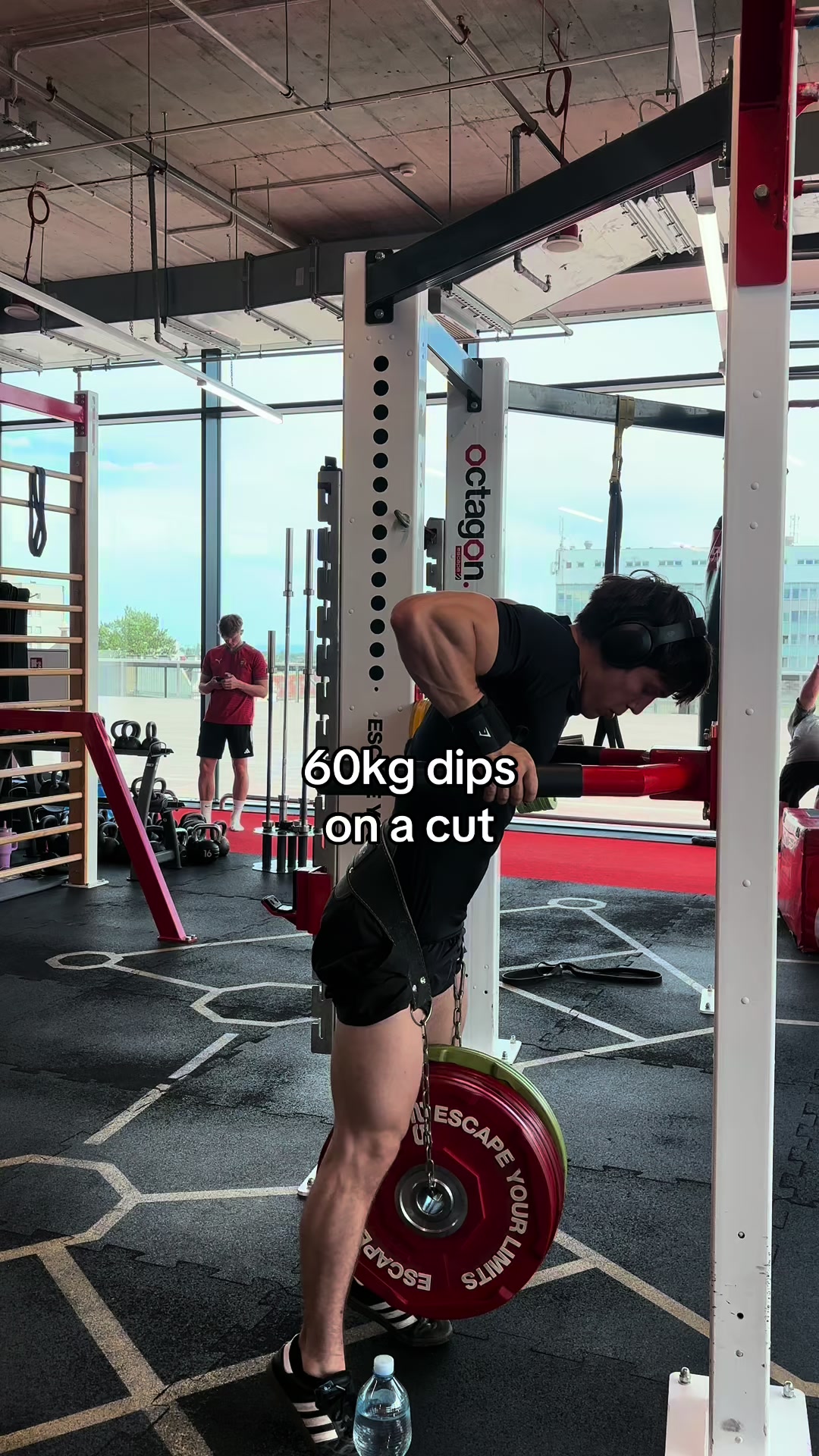 @michaltriceps_13.9cm