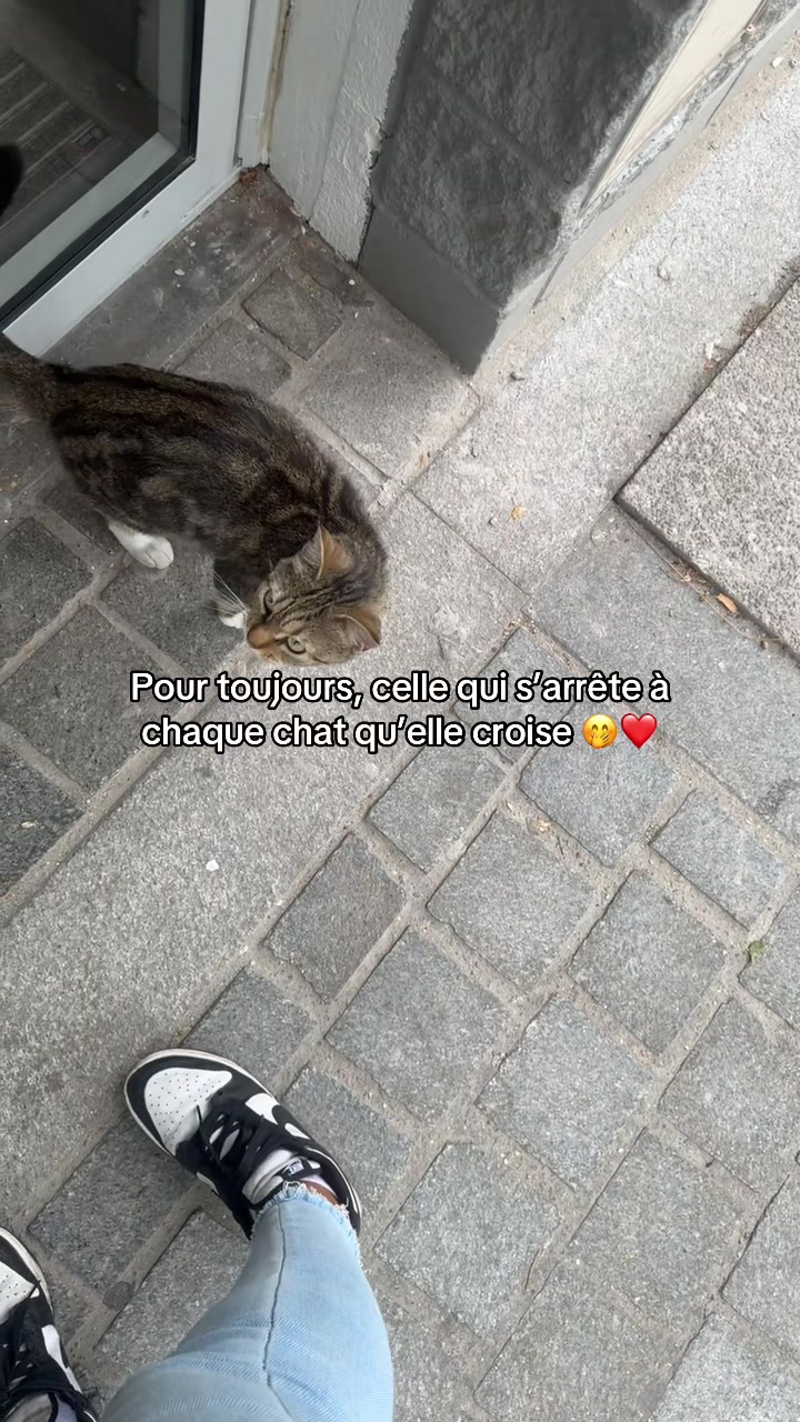 @Nawelle ⵣ 🇲🇦