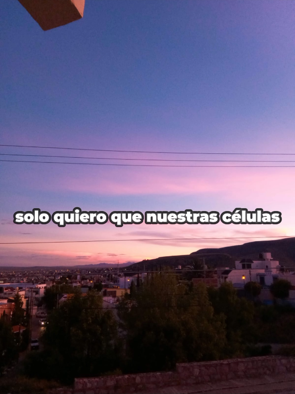 @ᵐᵃᶻᵃᵖᵃⁿᶜⁱᵗᵒ