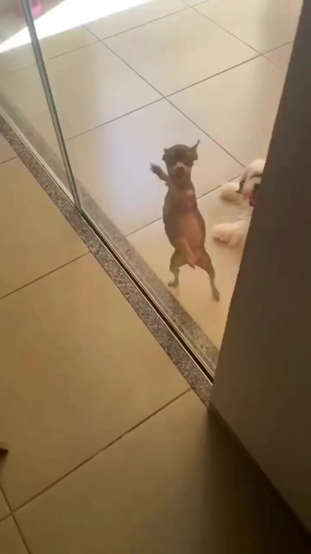 @InsaneSad愛