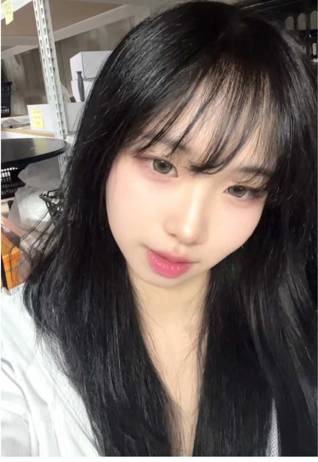 @묘월 卯月 ☪︎·̩͙