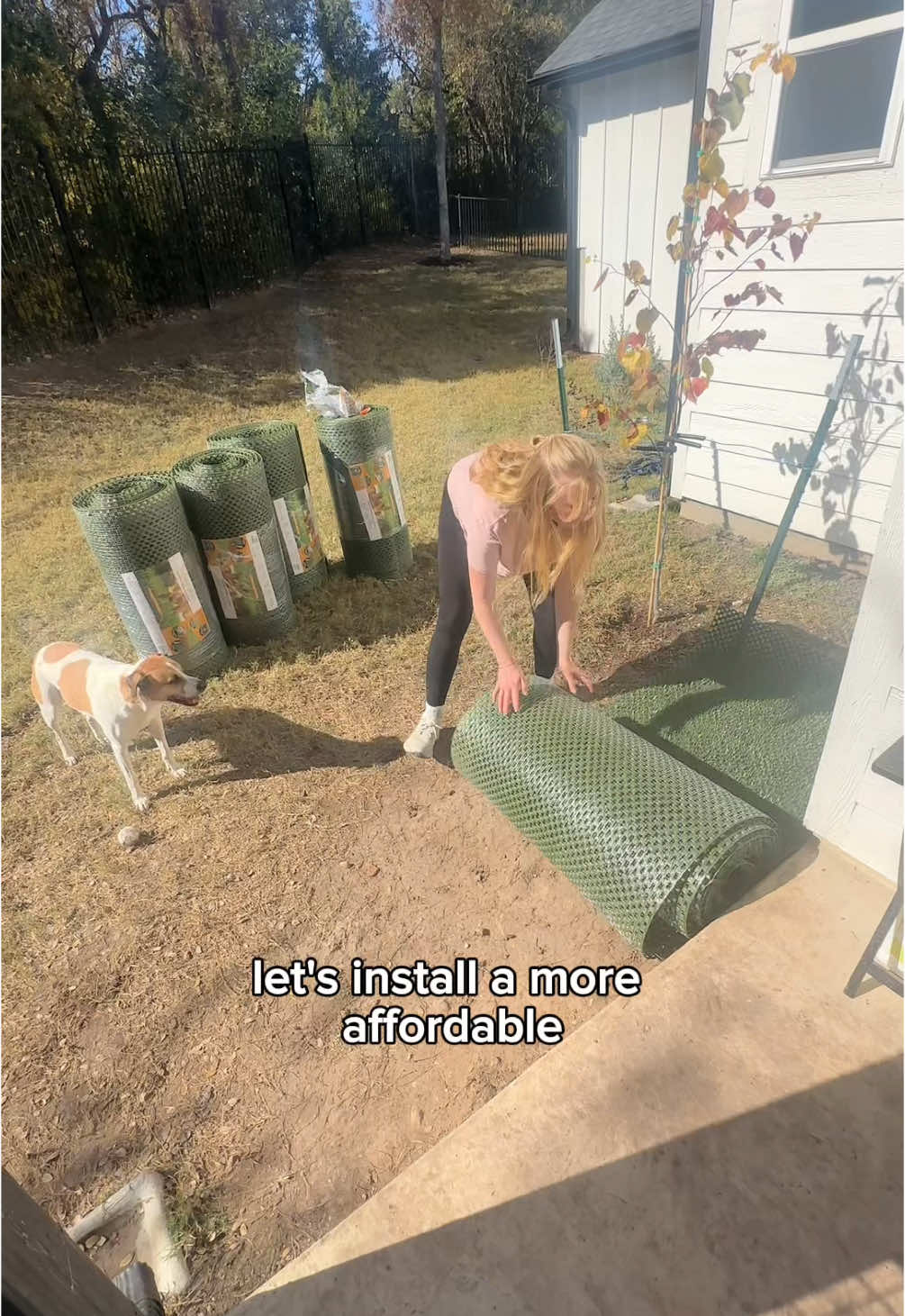 @Taylor + 4 dogs ๐ฉ๐ผ๐ถ๐ถ๐ถ๐ถ