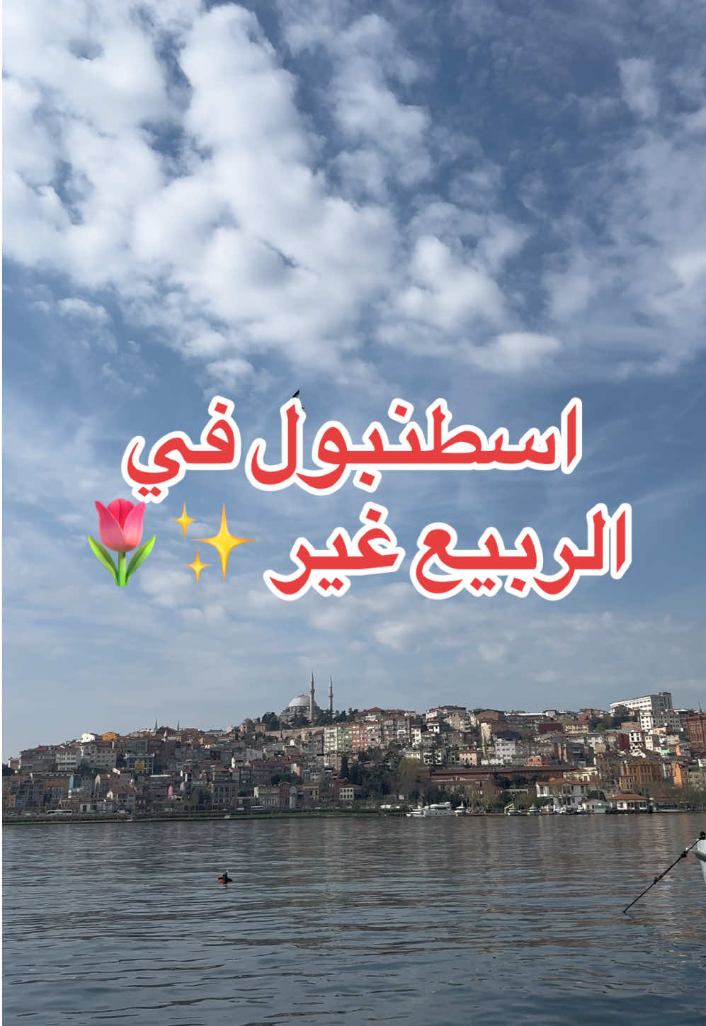 @وين نروح 🚗