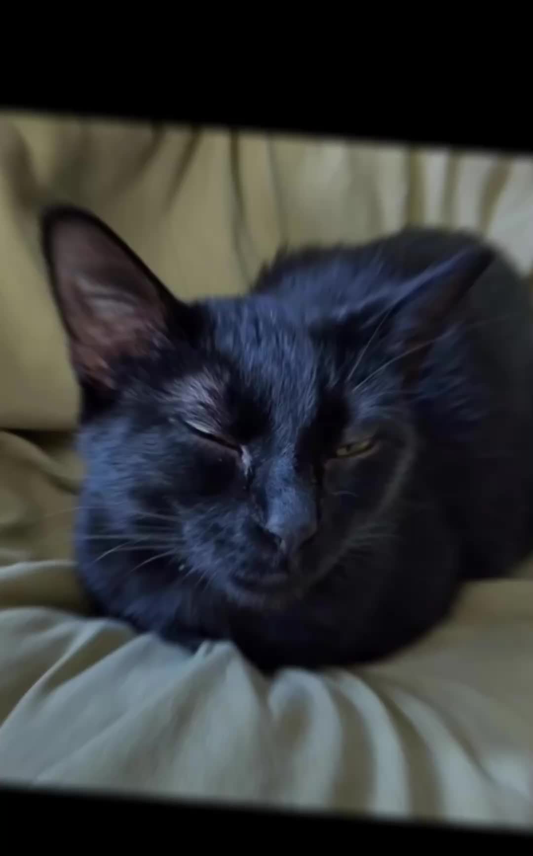 @EVIL_LARRY