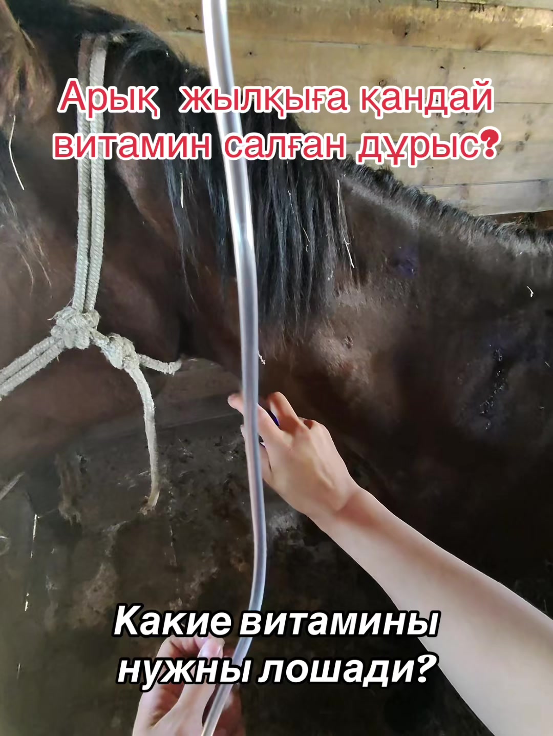 @Guw.welder