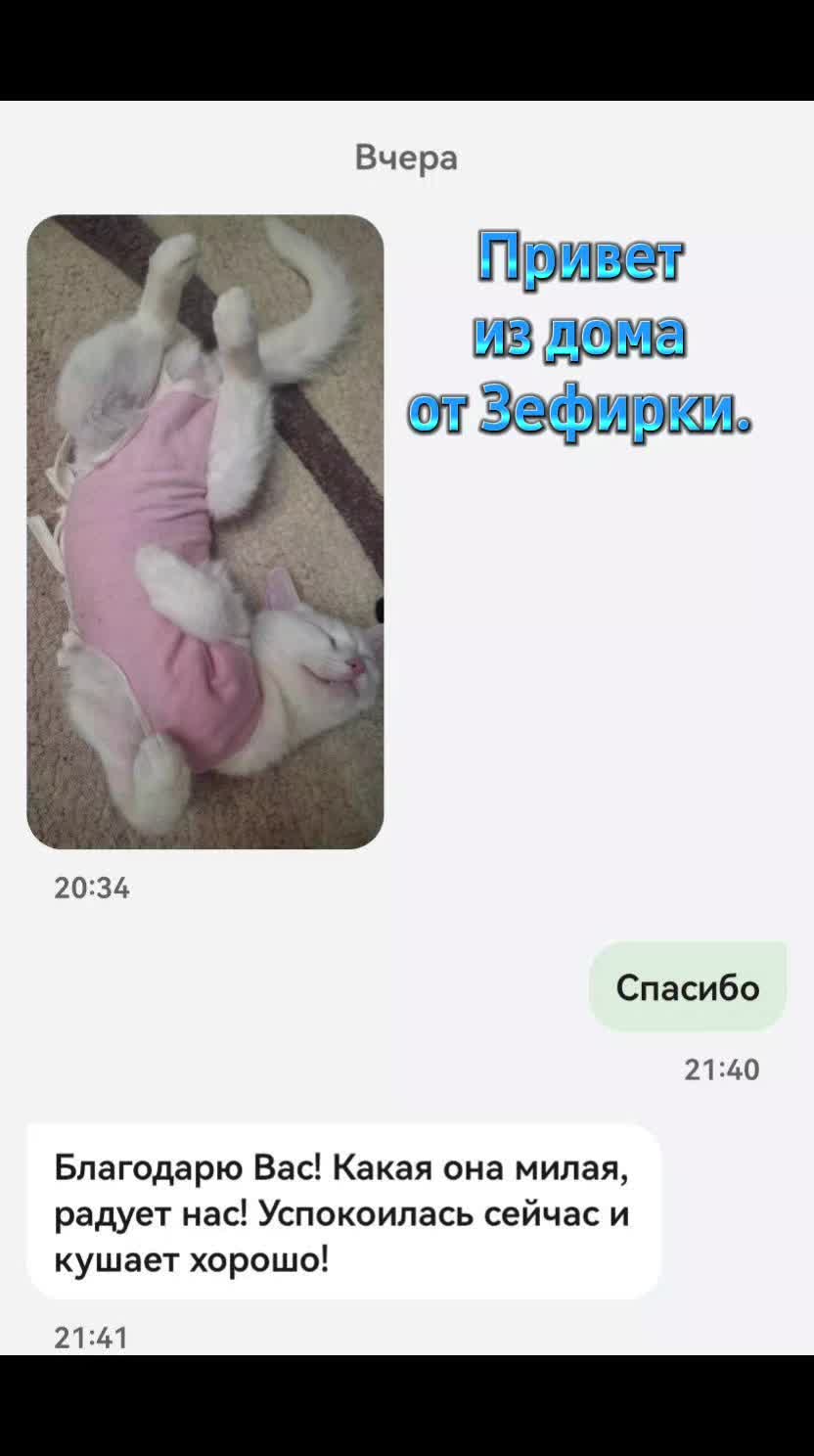 @Julia/Арсения!!