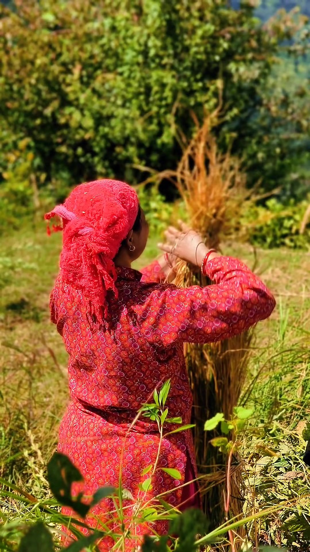 @थिँयाल 🌿