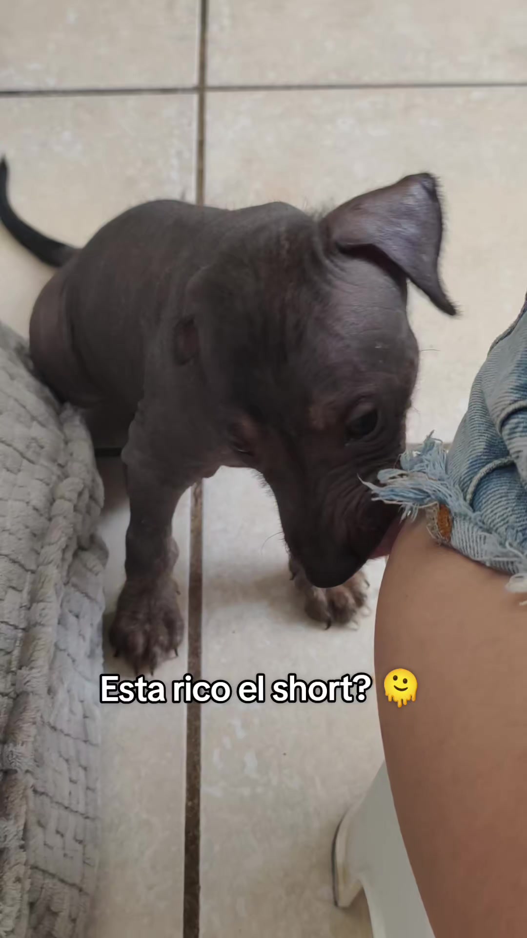 @Vanessa Almeida