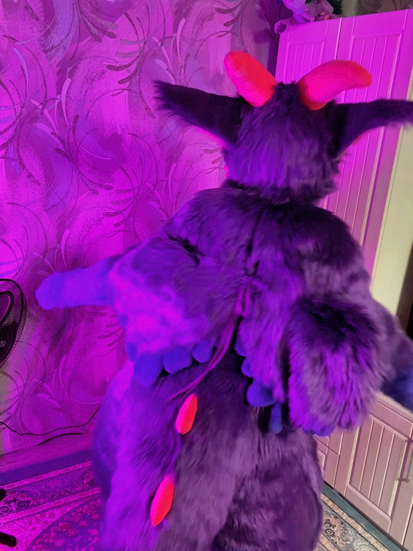 @🍇💠«𝓥𝓪𝓲𝓵 »💠🍇