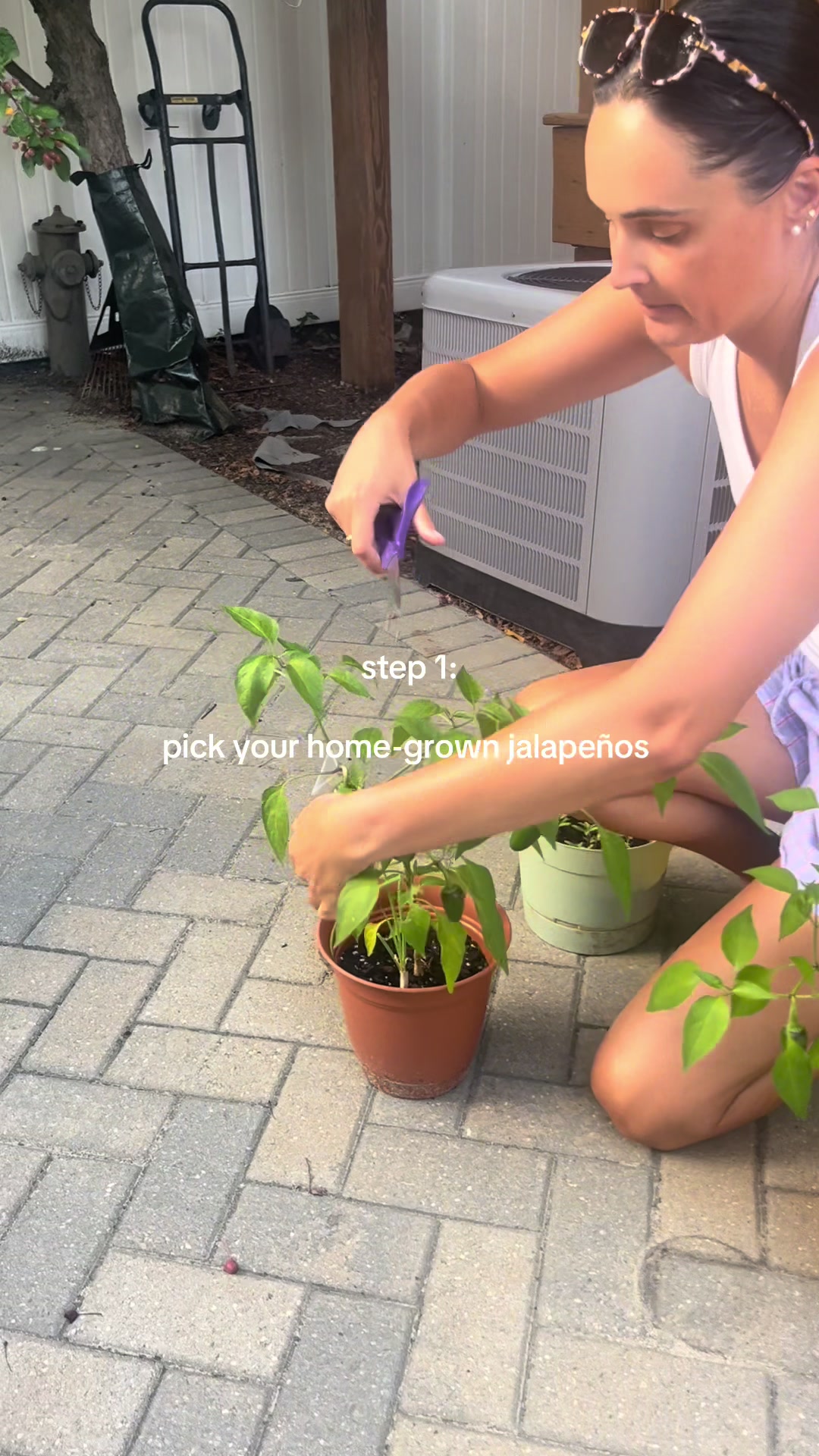 @erin