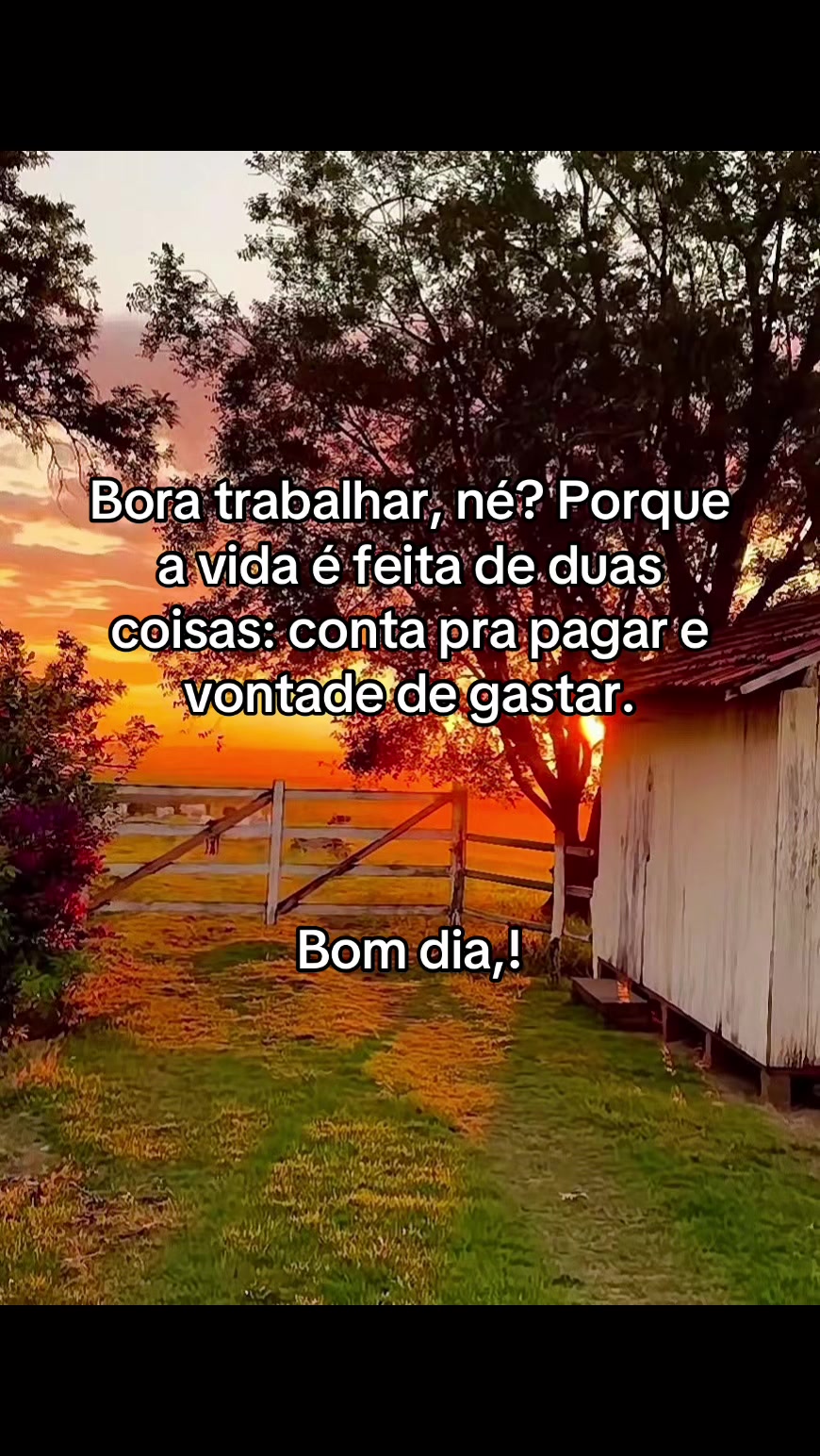 @Somodaogo