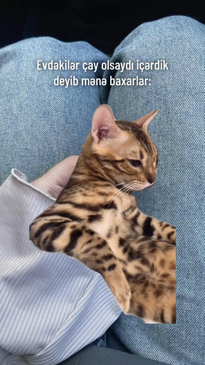 @♈️