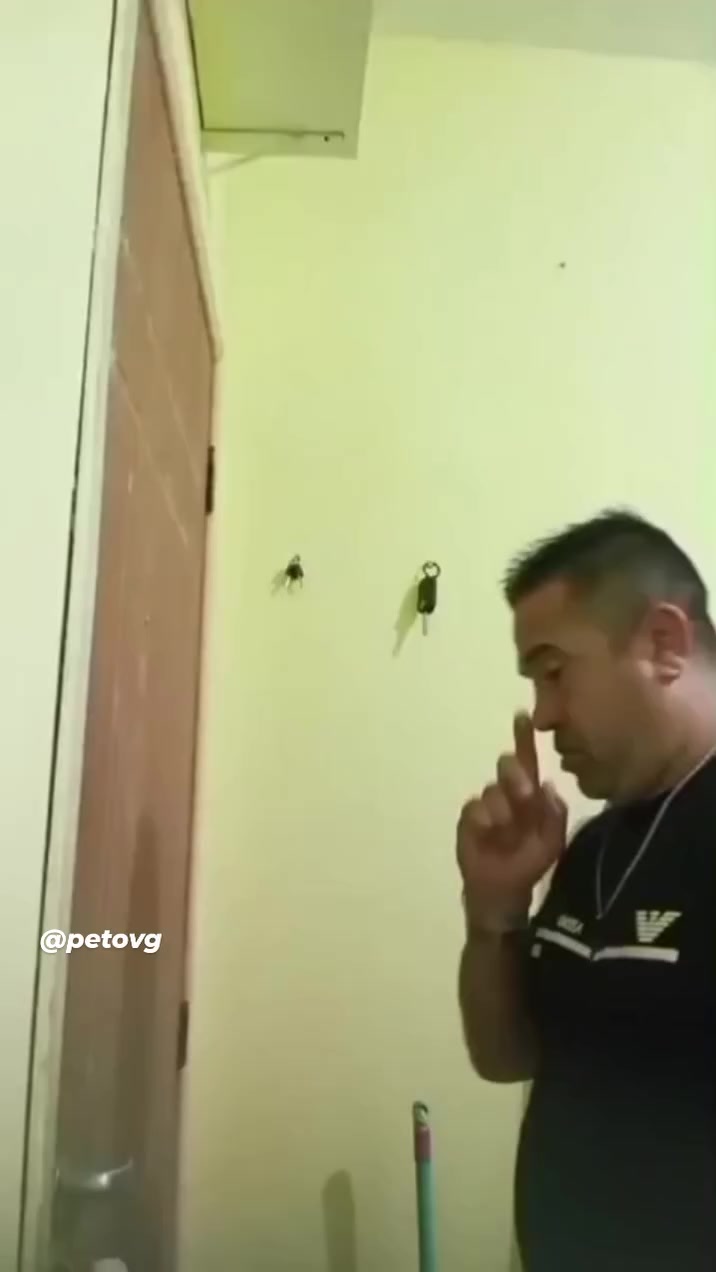 @petovg
