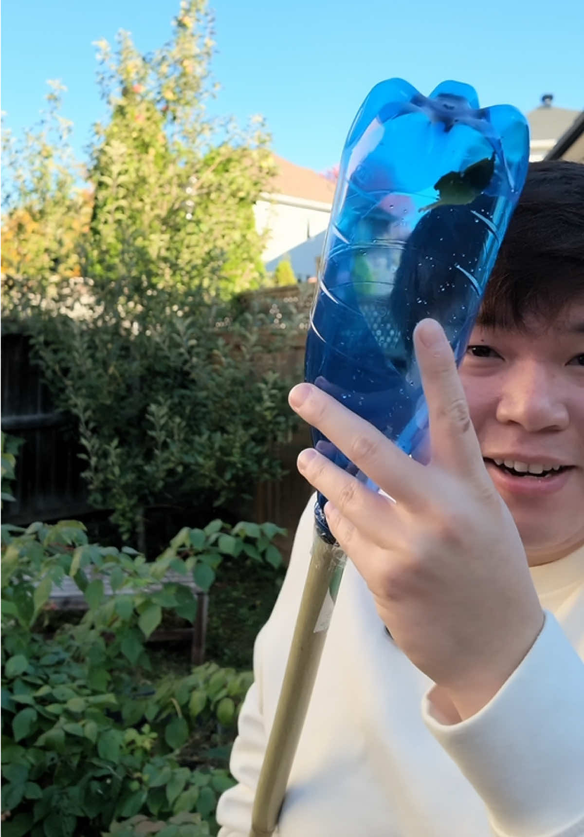@Angus Nguyen