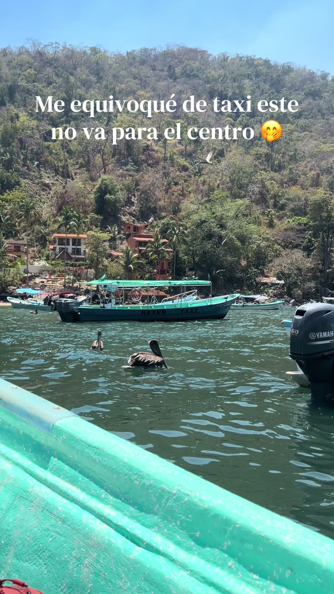 @Cintia E Mart&iacute;nez ❤️