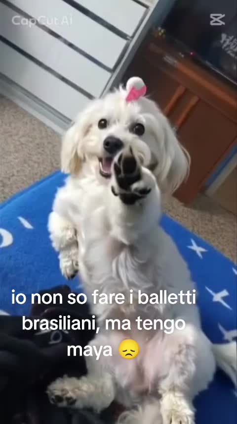 @A_n_d_r_e_i🇷🇴🇷🇴🫩🫩