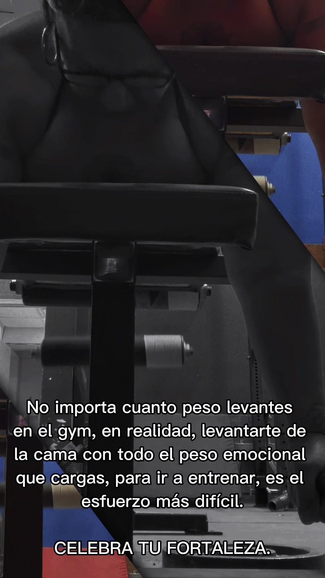 @Maribel