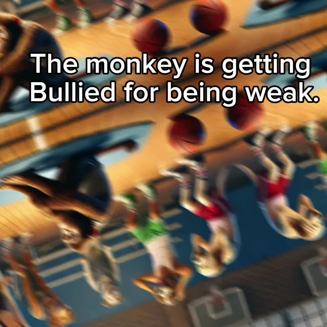 @B.G