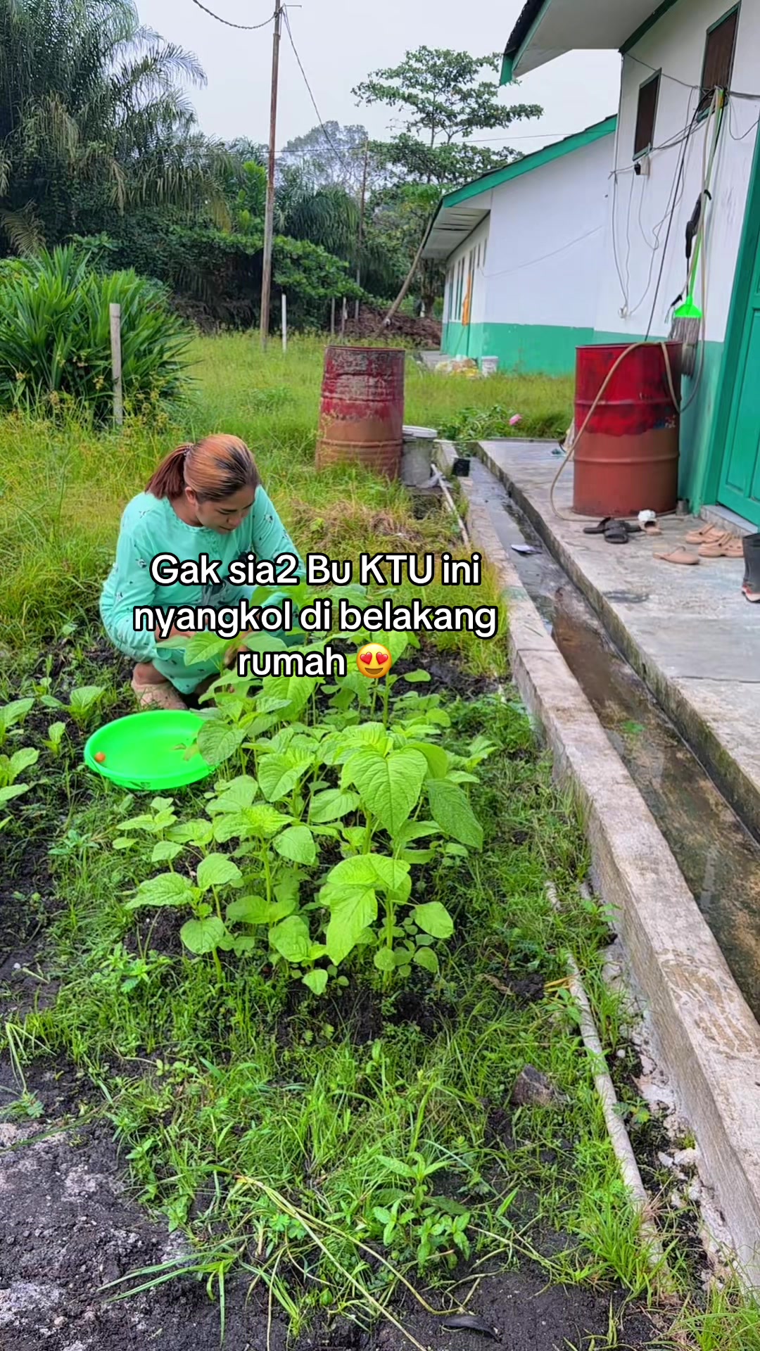 @Farida Pello