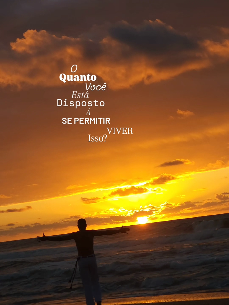 @Tacilio pinguim