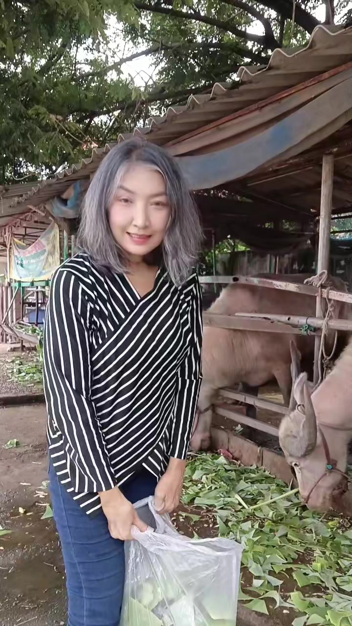 @pukcute/ปุ๊