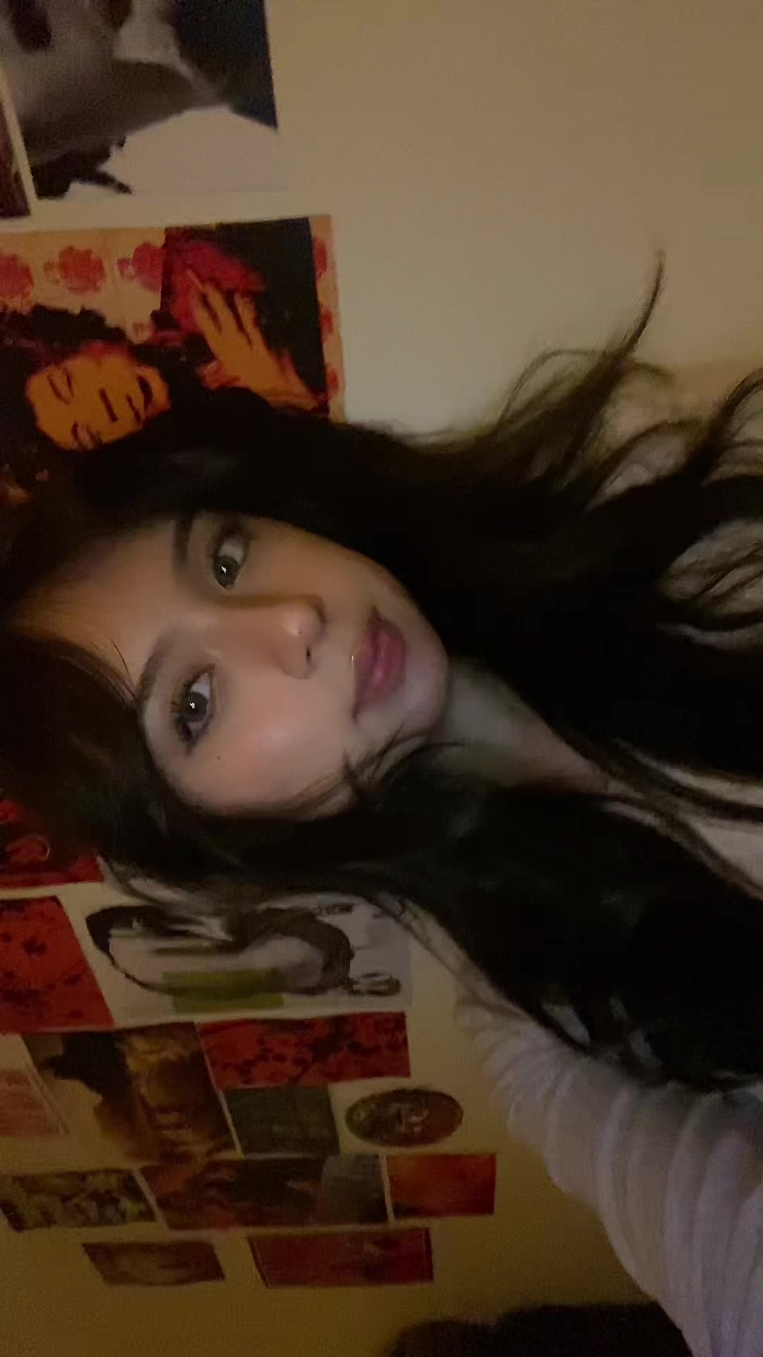 @lauren
