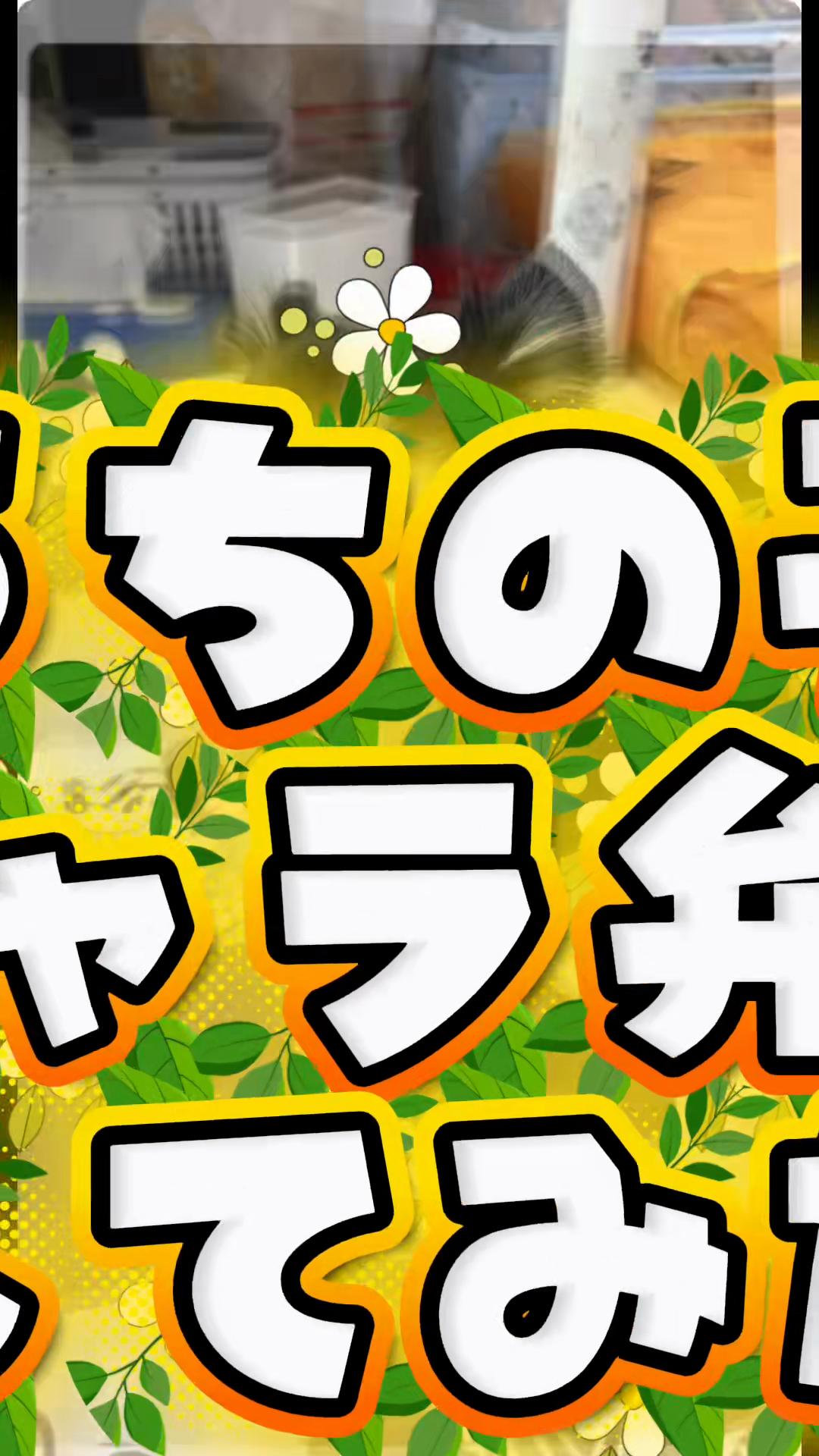 @ニンニン🐶🩵🍀