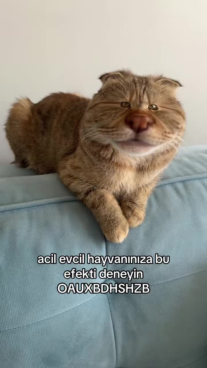 @Metin