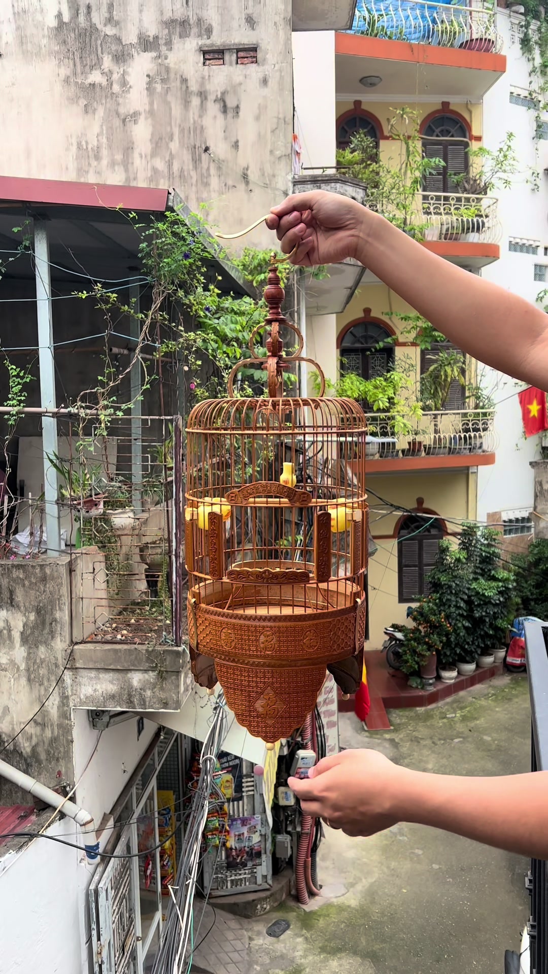 @Lồng Chim Đẹp